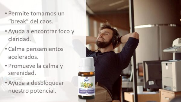 Meditation de Just